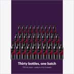 Winexpert Classic Shiraz wine kit — thirty-bottle batch, Water'n'Wine Truro