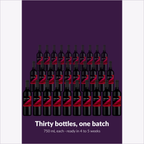 Winexpert Classic Smooth Red wine kit — thirty-bottle batch, Water'n'Wine Truro