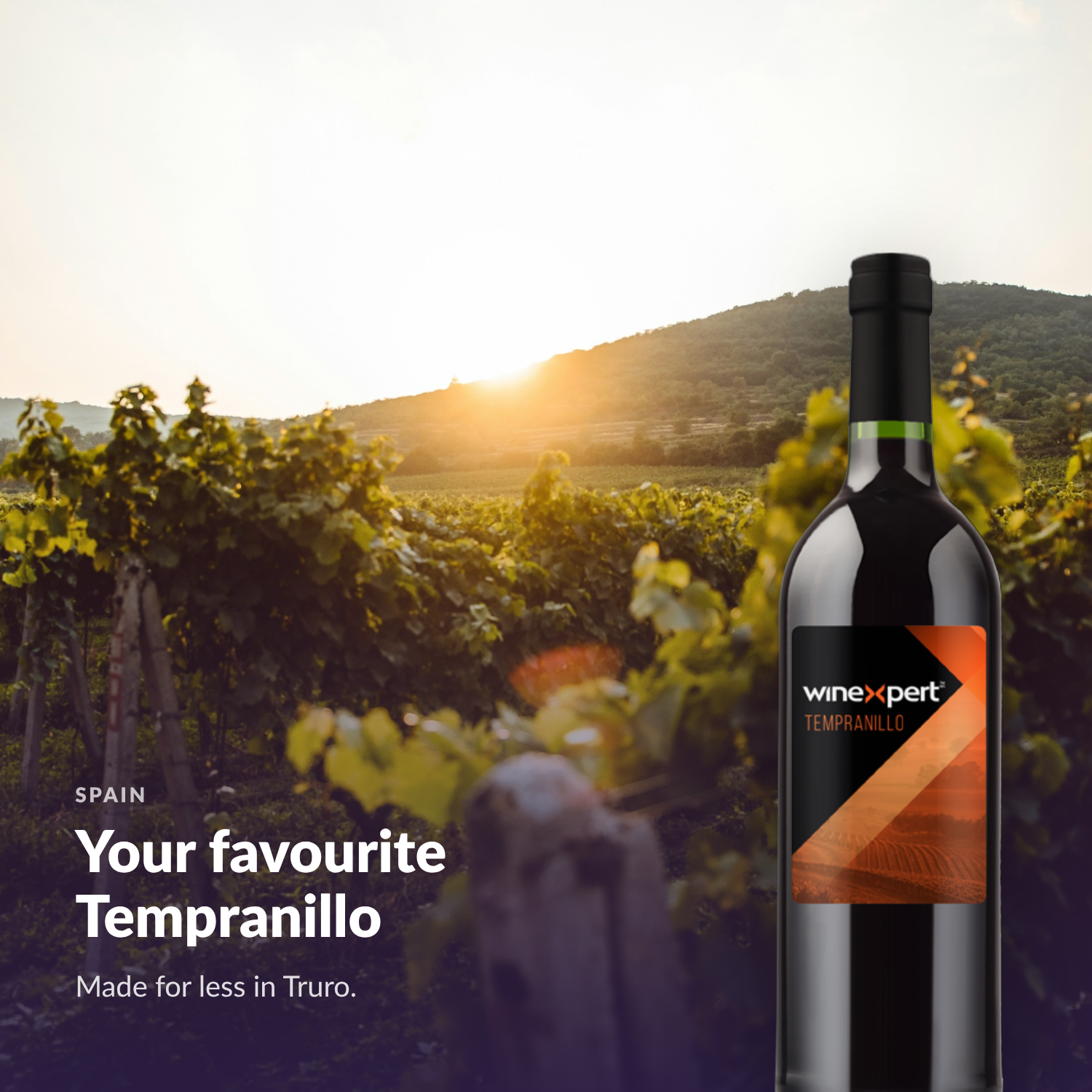 Winexpert Classic Tempranillo wine kit — lifestyle photo with bottle, Water'n'Wine Truro