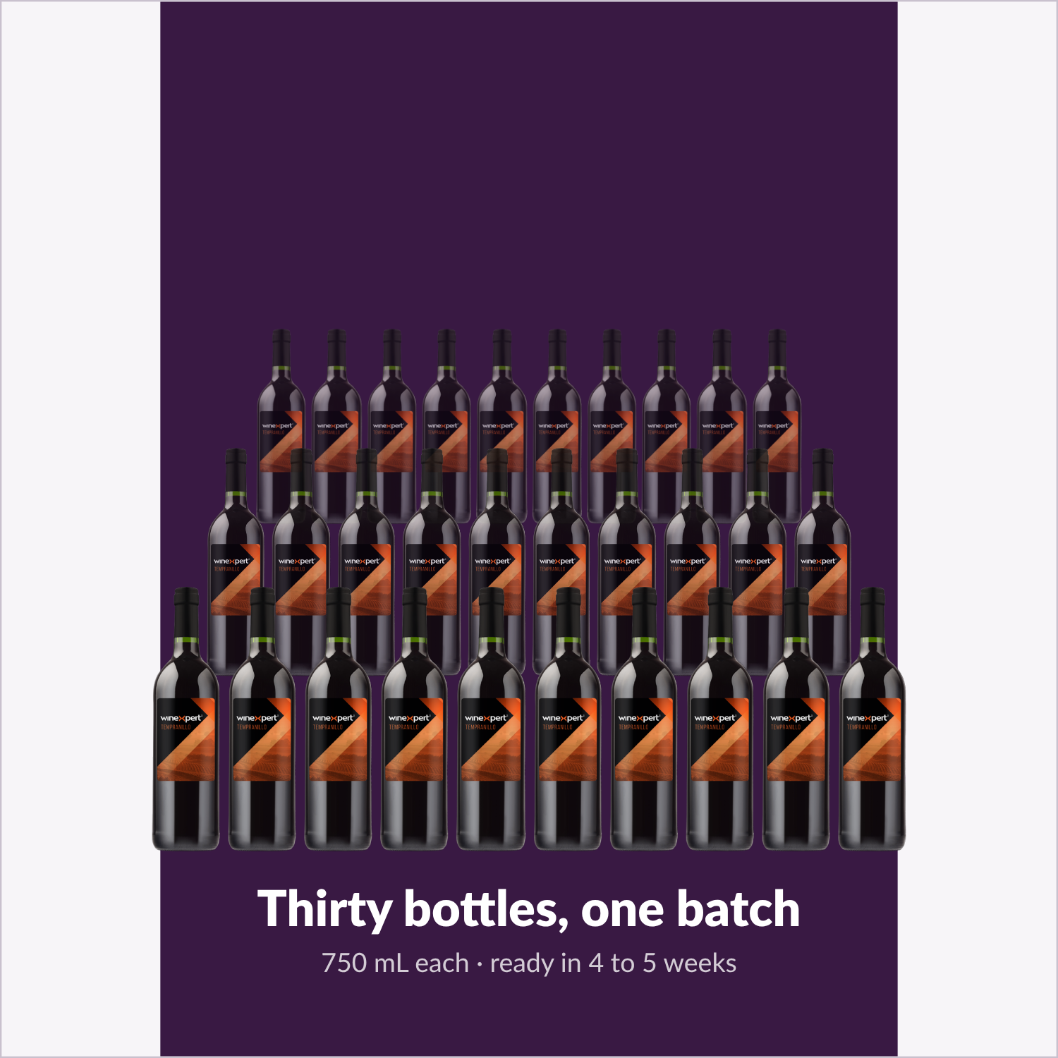 Winexpert Classic Tempranillo wine kit — thirty-bottle batch, Water'n'Wine Truro