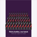 Winexpert Classic Trinity Red wine kit — thirty-bottle batch, Water'n'Wine Truro