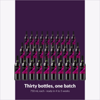 Winexpert Classic Vieux Château du Roi wine kit — thirty-bottle batch, Water'n'Wine Truro