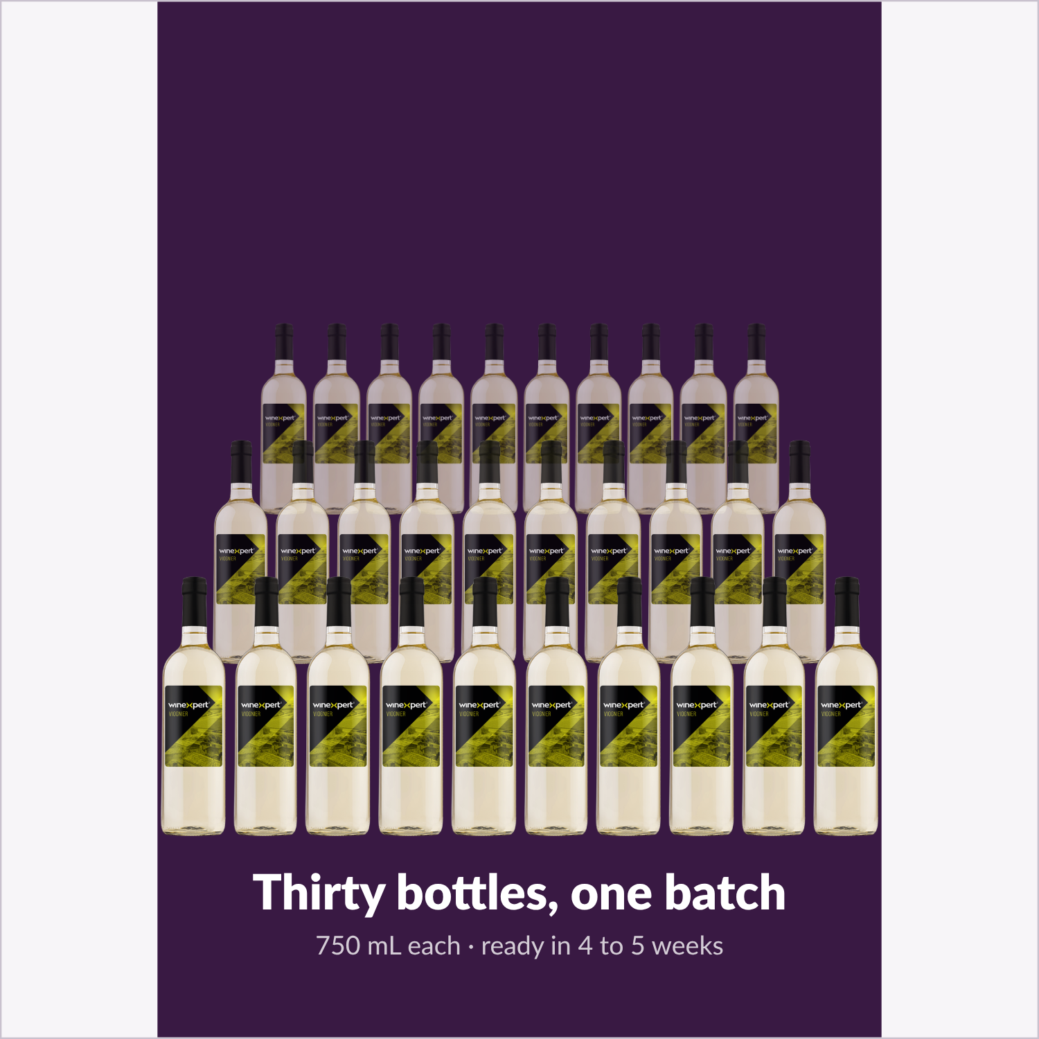 Winexpert Classic Viognier wine kit — thirty-bottle batch, Water'n'Wine Truro