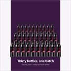 Winexpert Private Reserve Amarone — thirty bottles, one batch