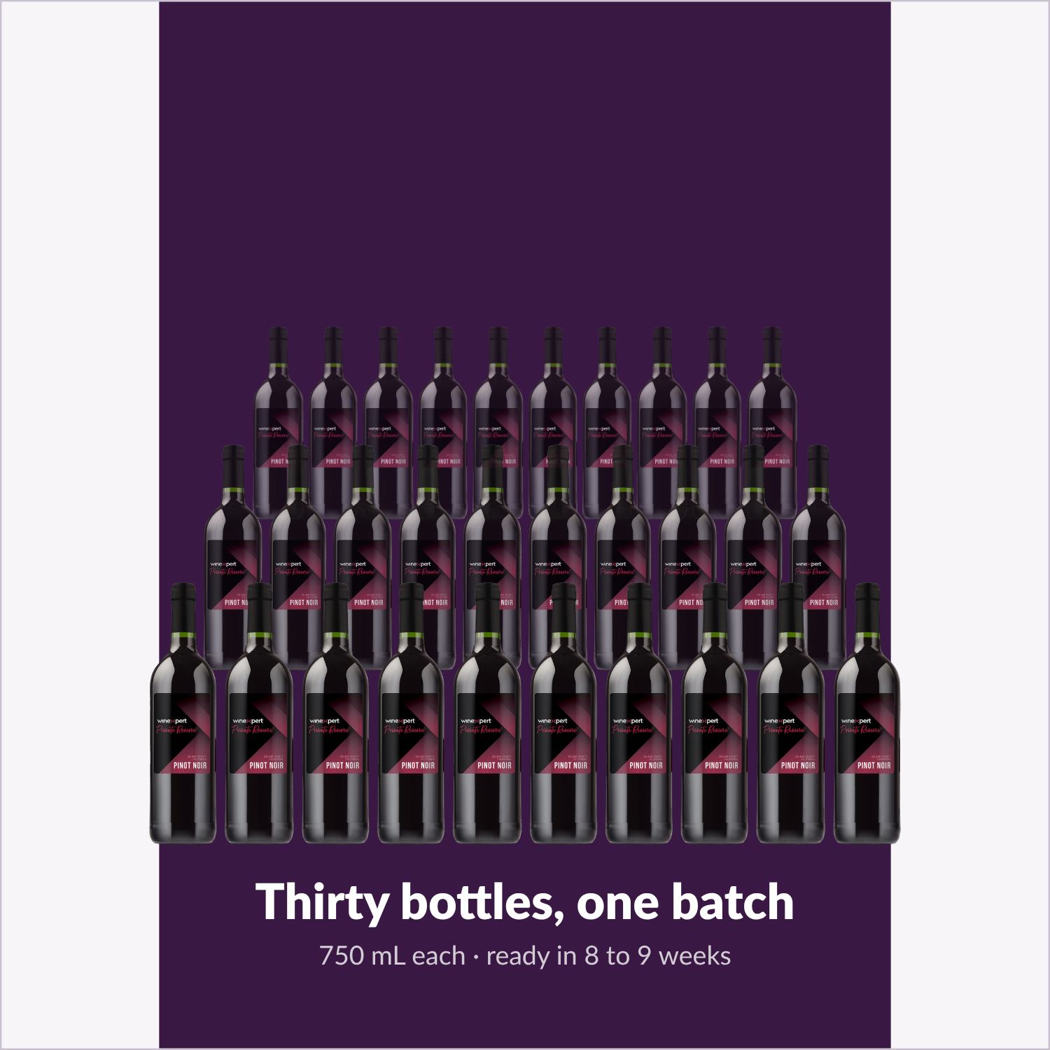 Winexpert Private Reserve Pinot Noir — thirty bottles, one batch