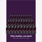 Winexpert Private Reserve Shiraz — thirty bottles, one batch