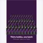 Winexpert Reserve Amarone — thirty bottles, one batch