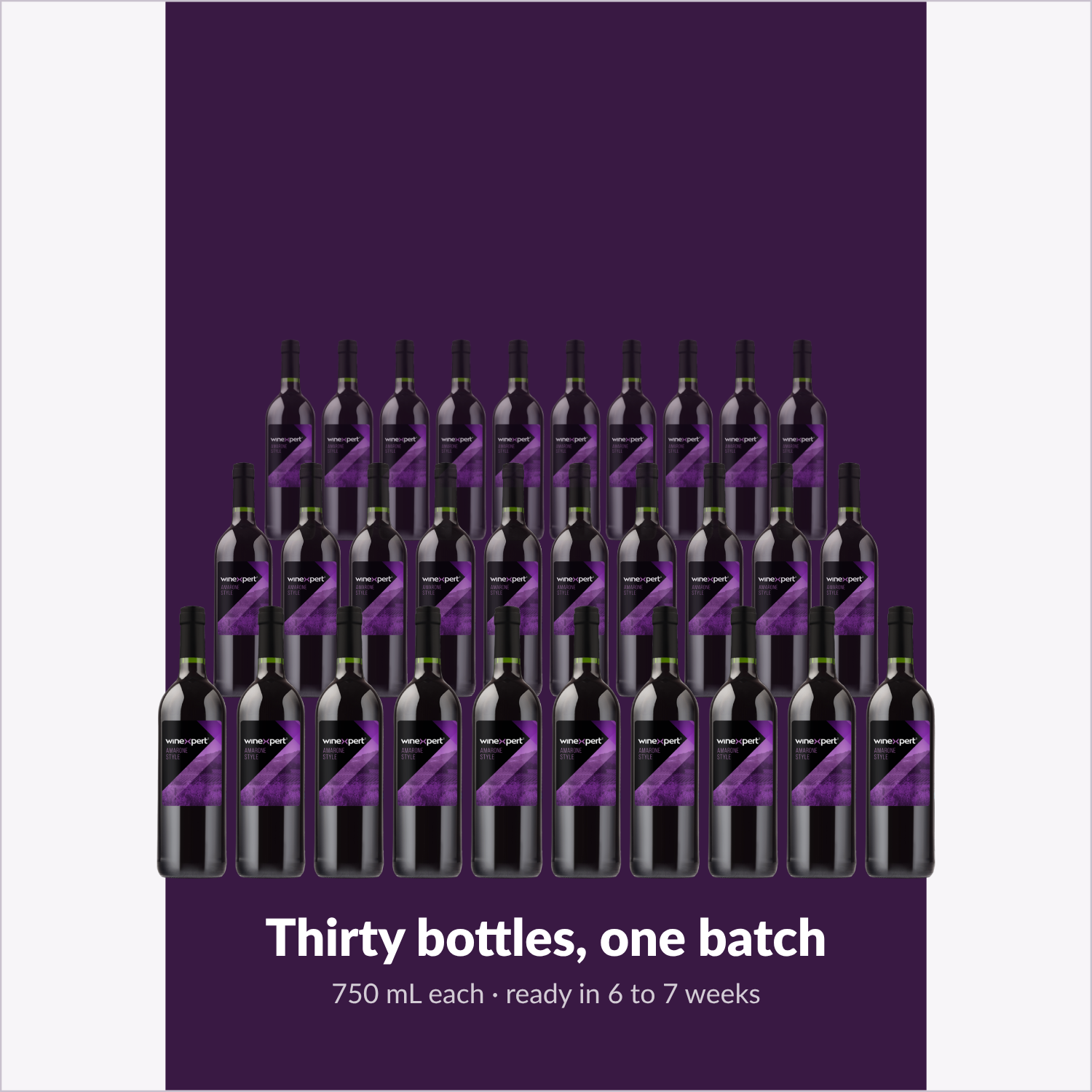 Winexpert Reserve Amarone — thirty bottles, one batch