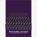 Winexpert Reserve Cabernet Sauvignon — thirty bottles, one batch