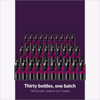 Winexpert Reserve Cabernet Shiraz — thirty bottles, one batch