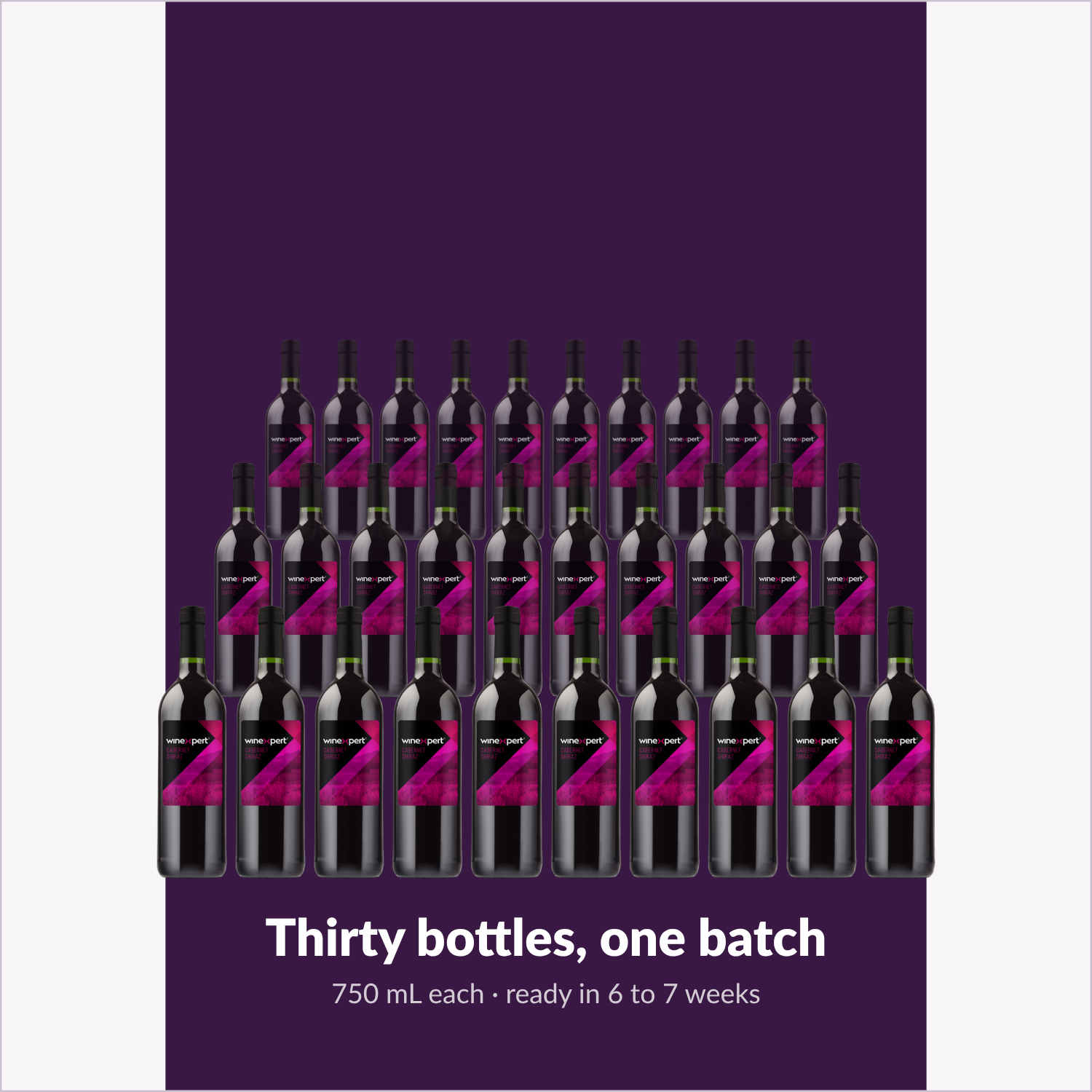 Winexpert Reserve Cabernet Shiraz — thirty bottles, one batch