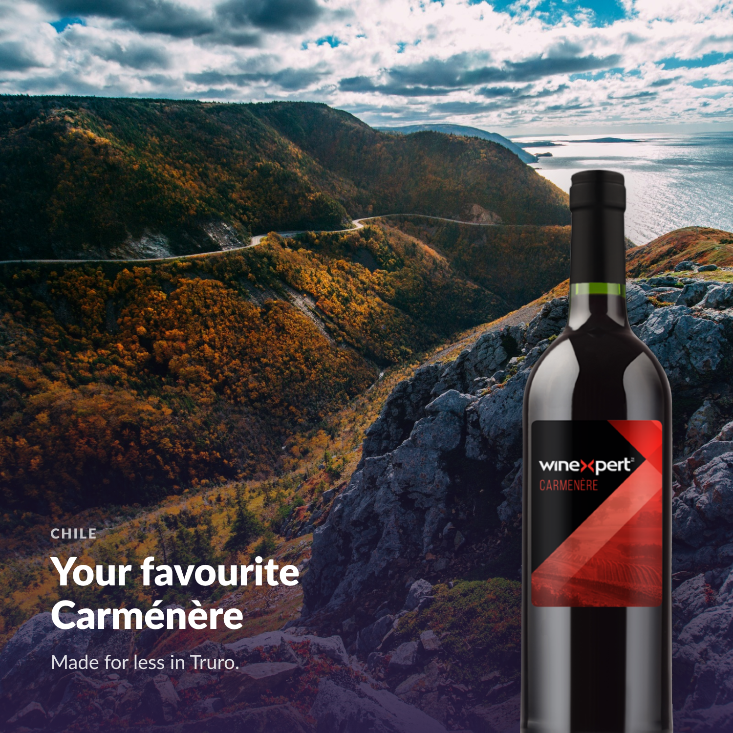 Winexpert Reserve Carménère — your favourite Carménère, made for less in Truro