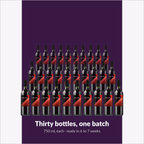 Winexpert Reserve Carménère — thirty bottles, one batch