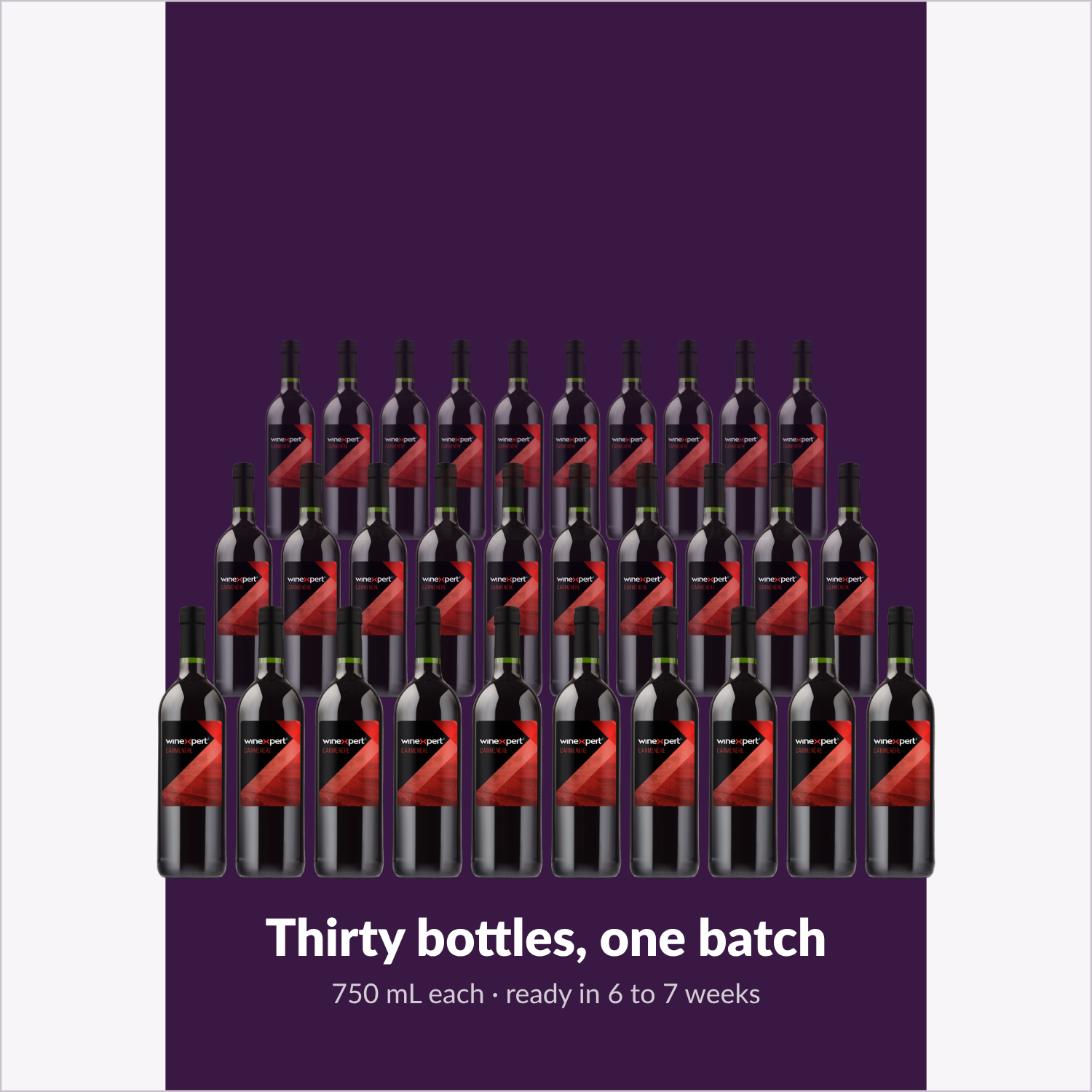 Winexpert Reserve Carménère — thirty bottles, one batch