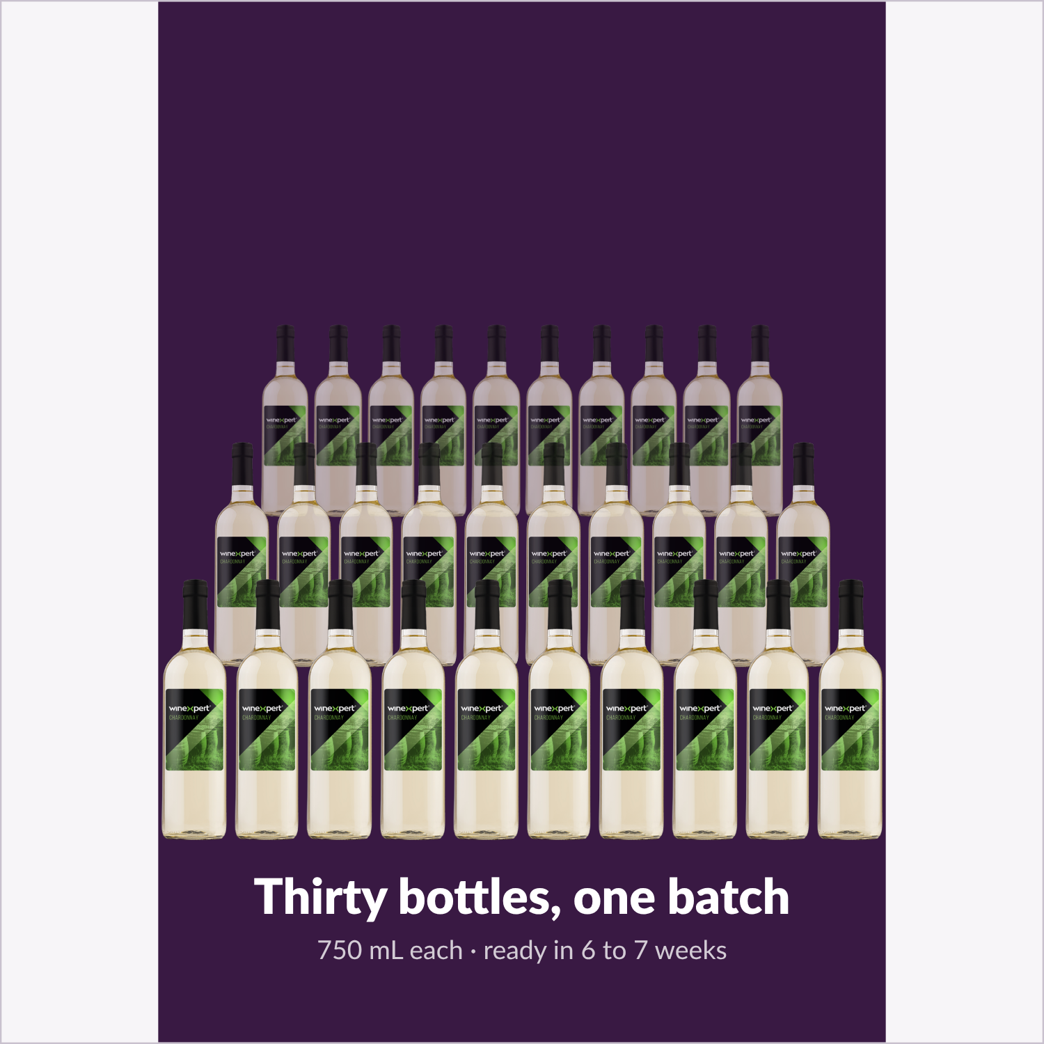 Winexpert Reserve Chardonnay — thirty bottles, one batch