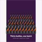 Winexpert Reserve Enigma — thirty bottles, one batch