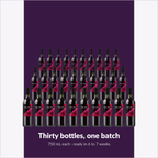 Winexpert Reserve Luna Rossa — thirty bottles, one batch