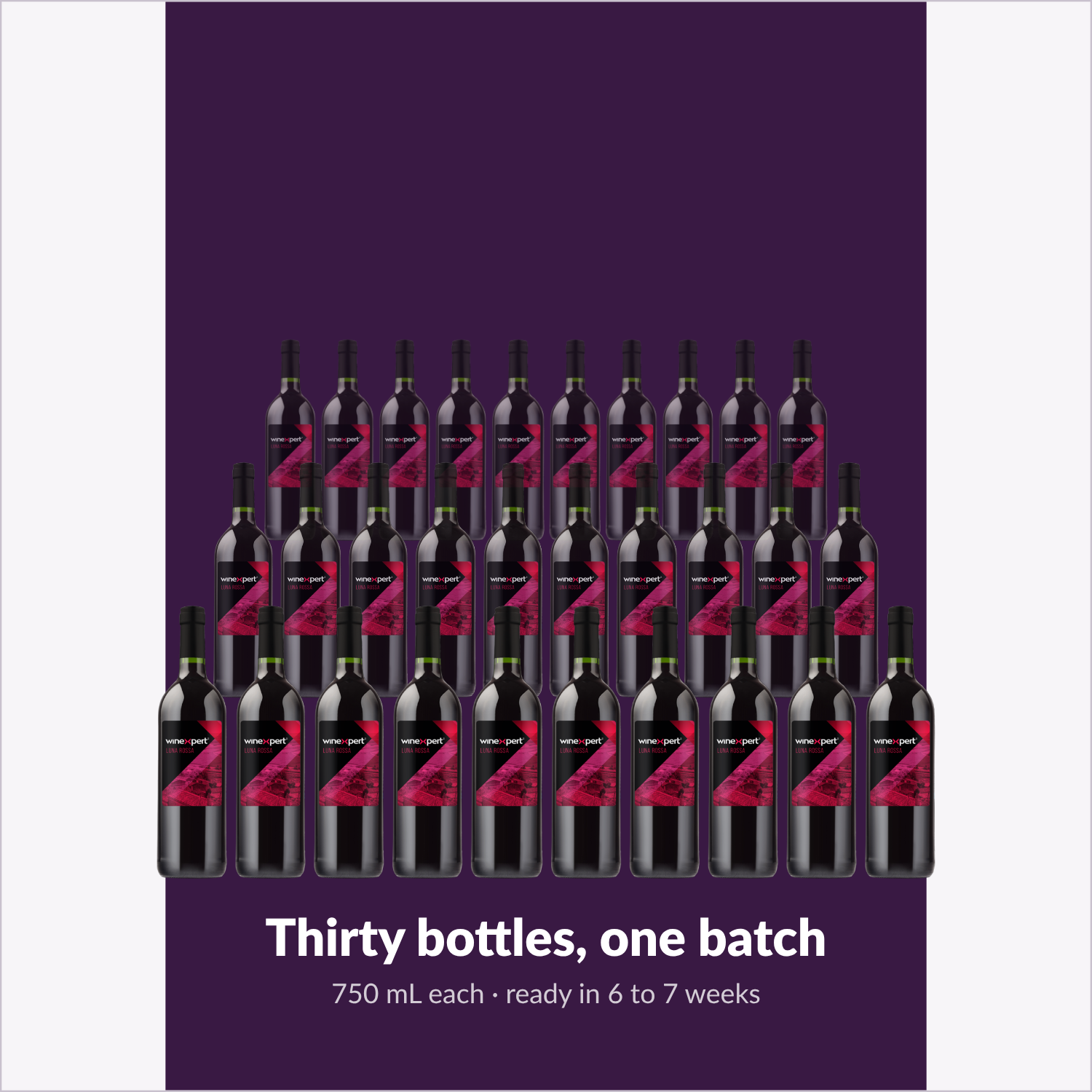 Winexpert Reserve Luna Rossa — thirty bottles, one batch