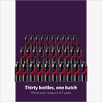 Winexpert Reserve Malbec — thirty bottles, one batch