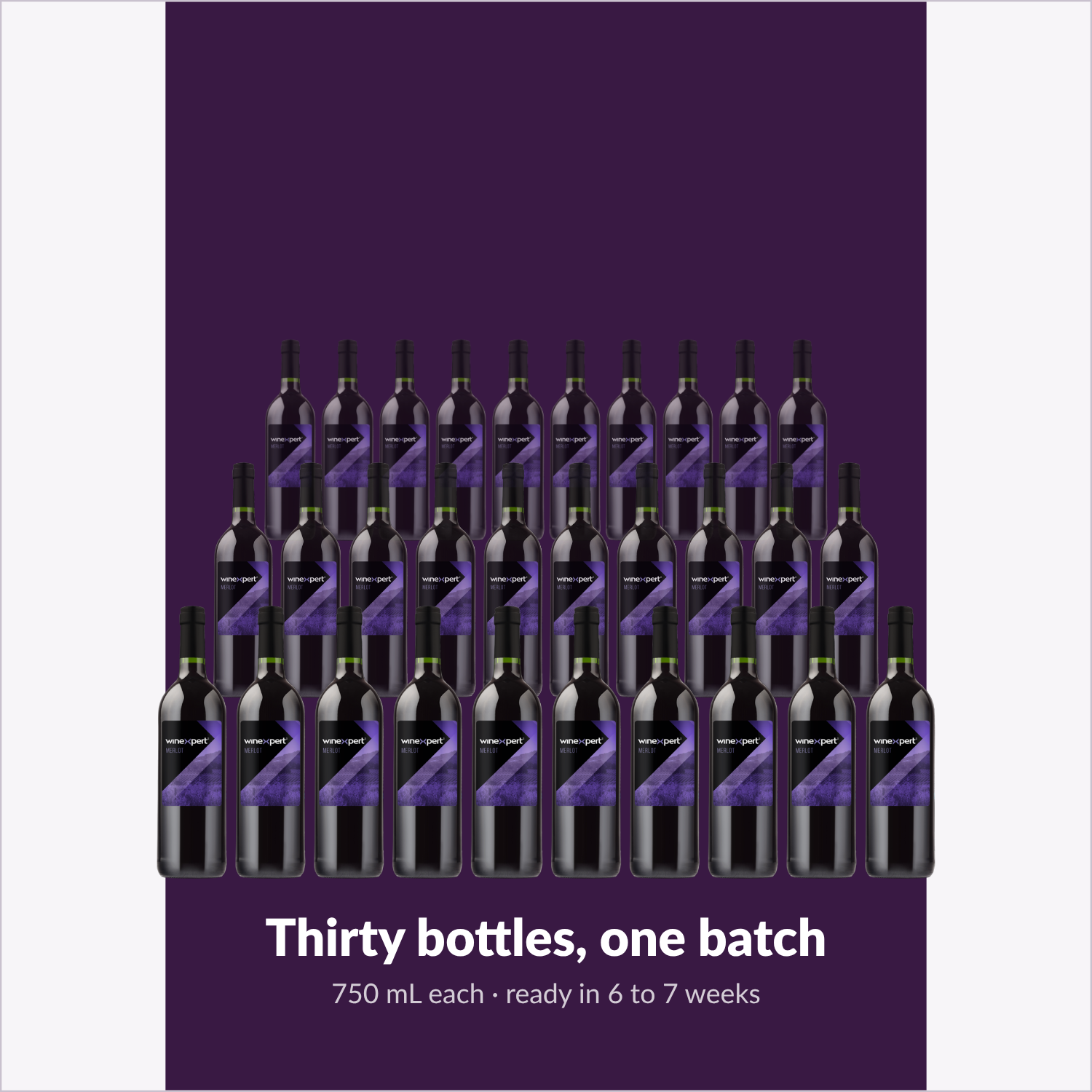 Winexpert Reserve Merlot — thirty bottles, one batch