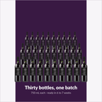 Thirty 750 mL bottles from one batch of Winexpert Reserve Merlot Niagara