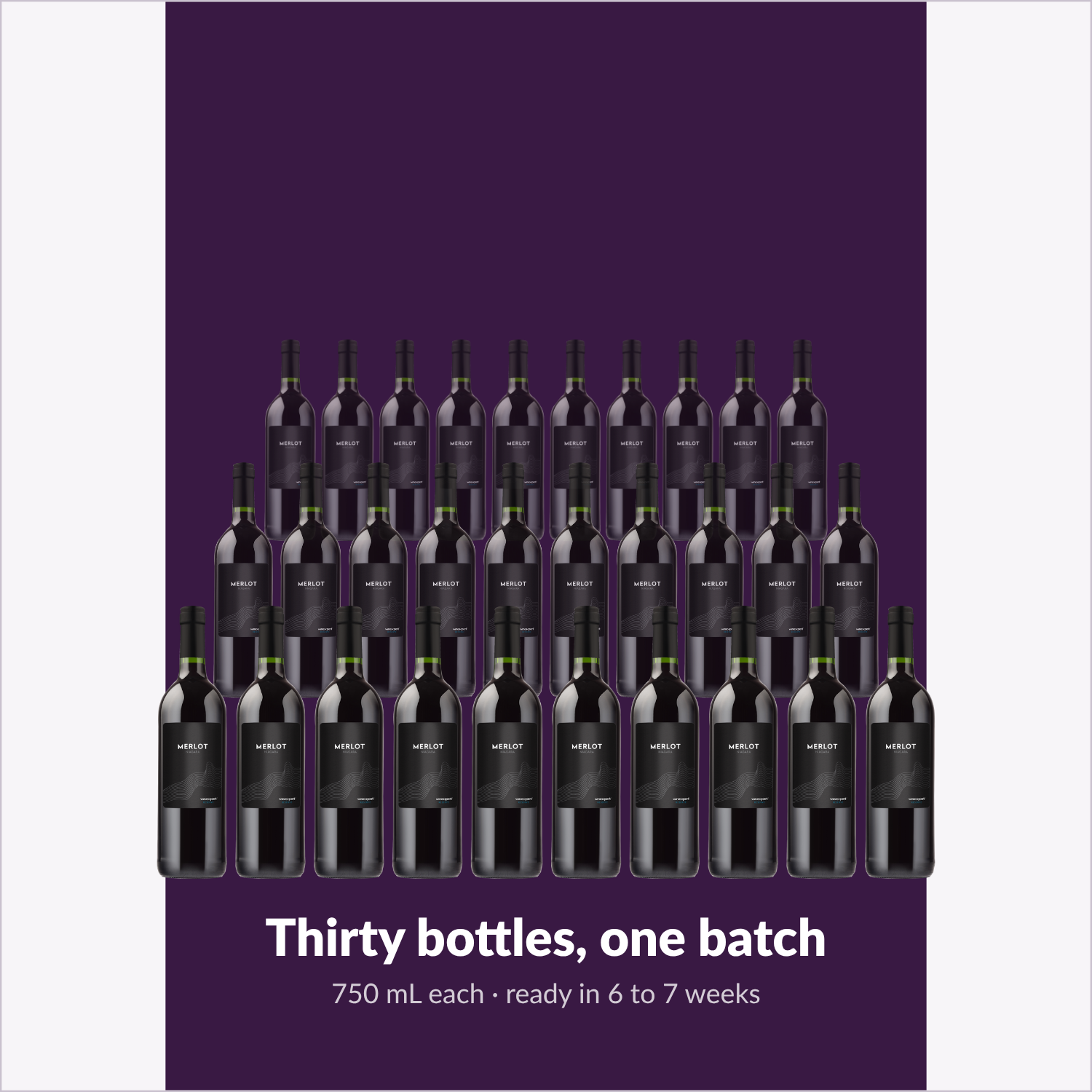 Thirty 750 mL bottles from one batch of Winexpert Reserve Merlot Niagara