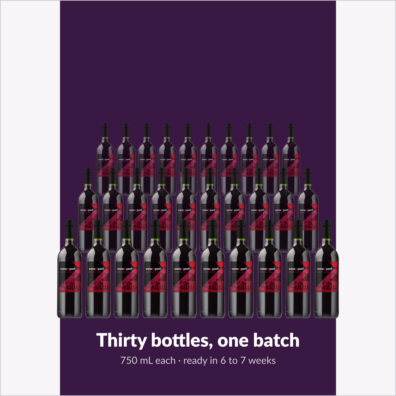 Winexpert Reserve Montepulciano — thirty bottles, one batch