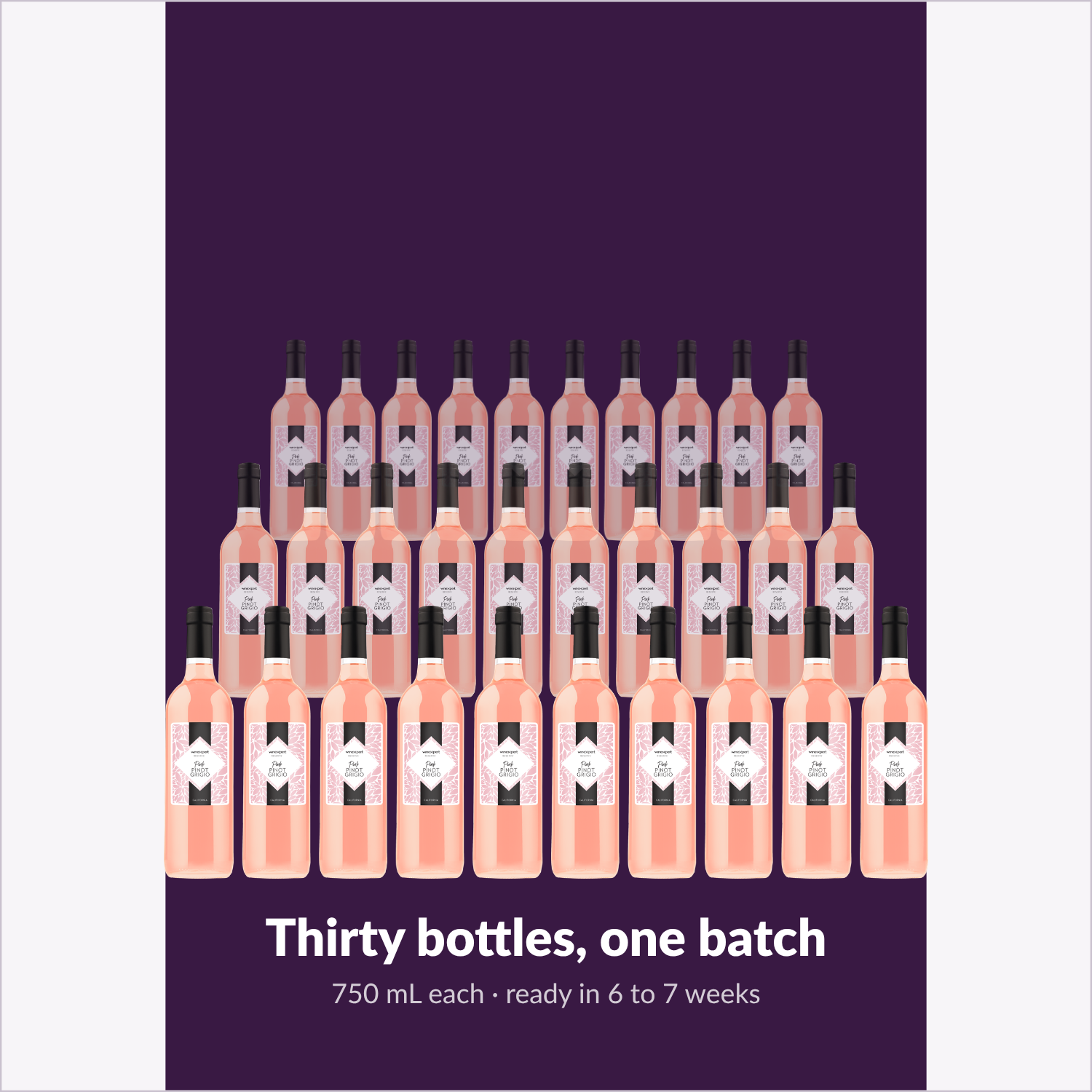 Winexpert Reserve Pink Pinot Grigio — thirty bottles, one batch