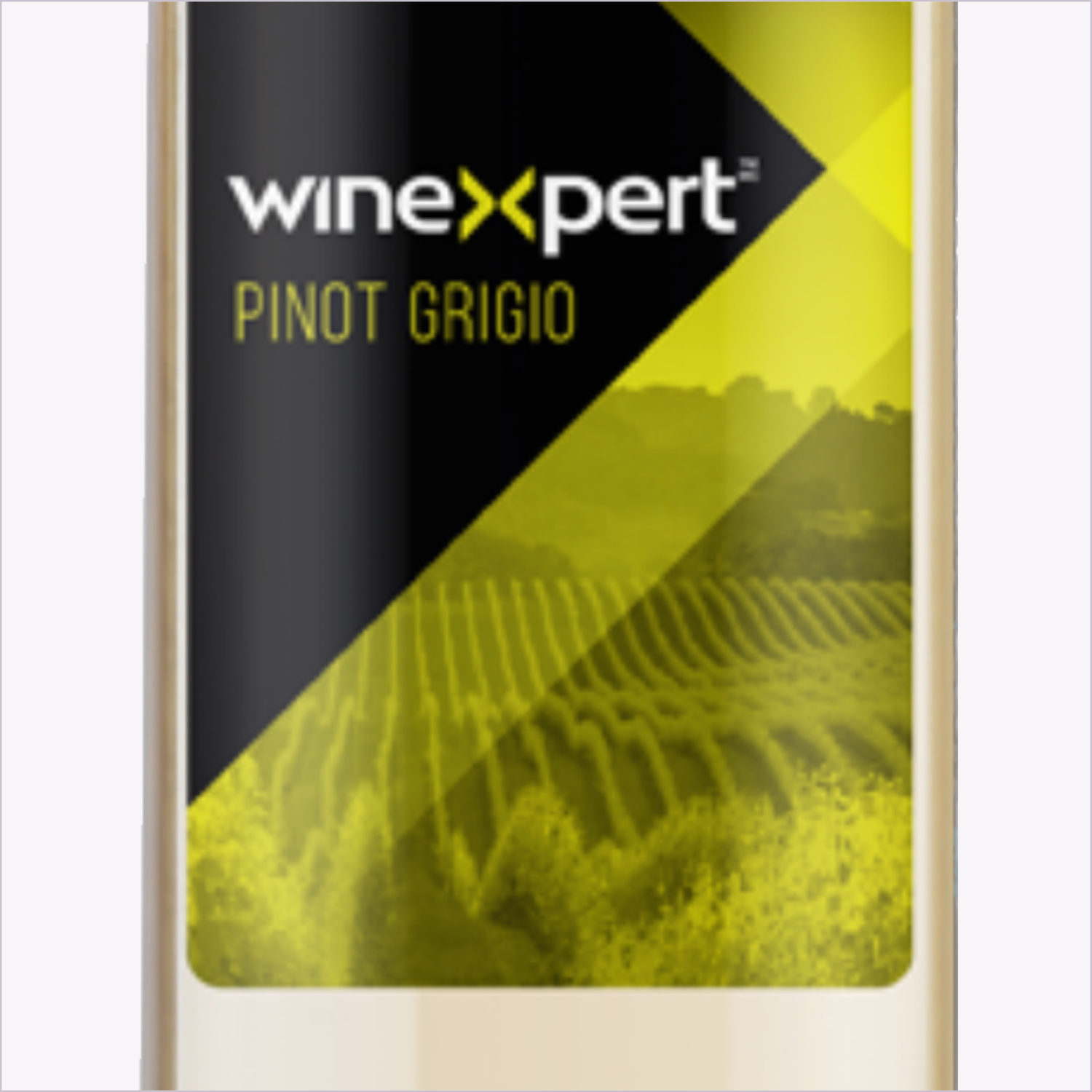 Winexpert Reserve Pinot Grigio — label detail