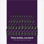 Winexpert Reserve Pinot Noir — thirty bottles, one batch