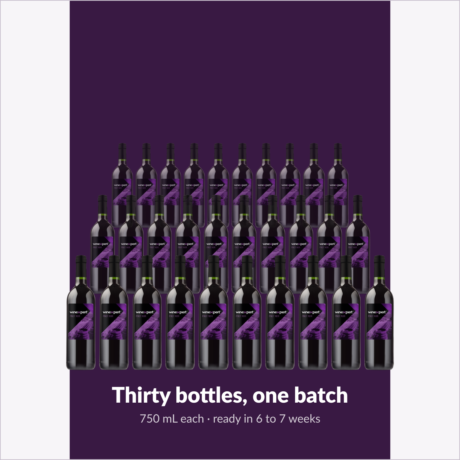 Winexpert Reserve Pinot Noir — thirty bottles, one batch