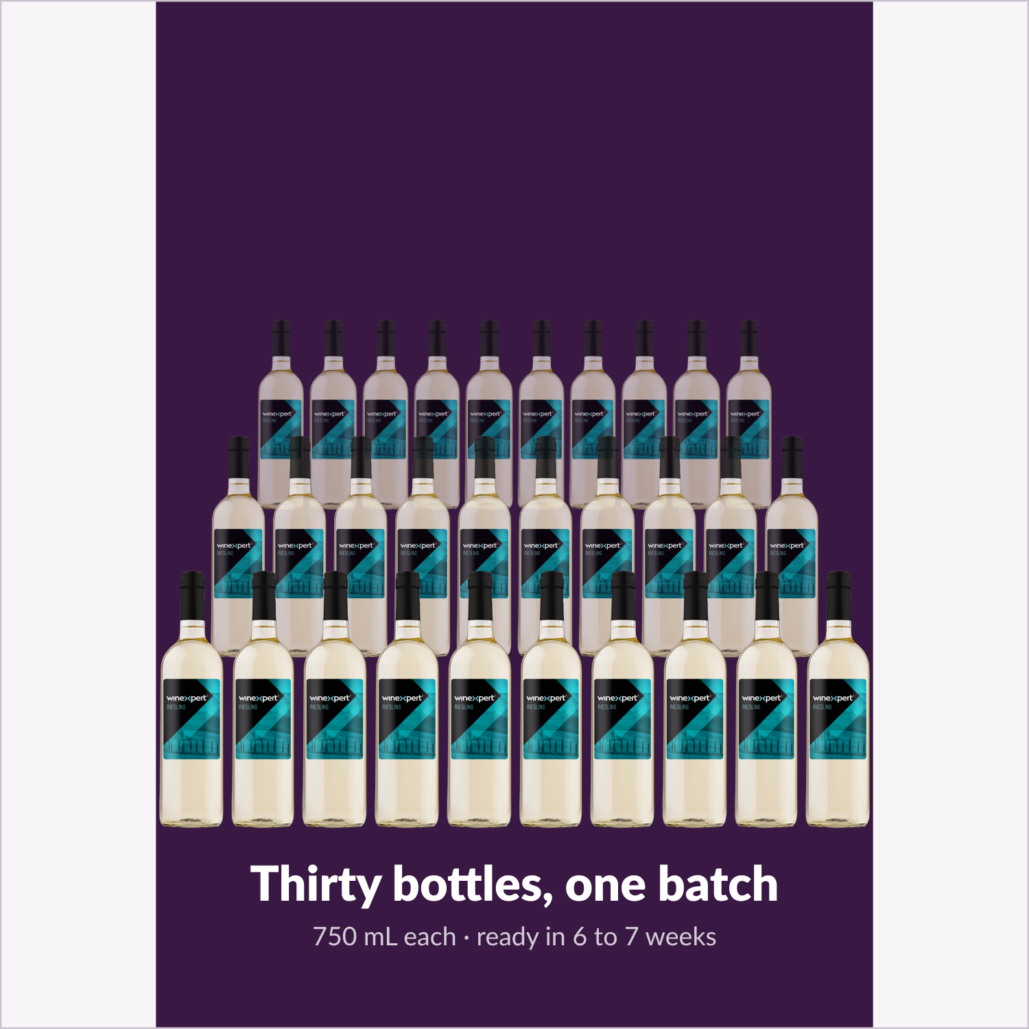Winexpert Reserve Riesling — thirty bottles, one batch