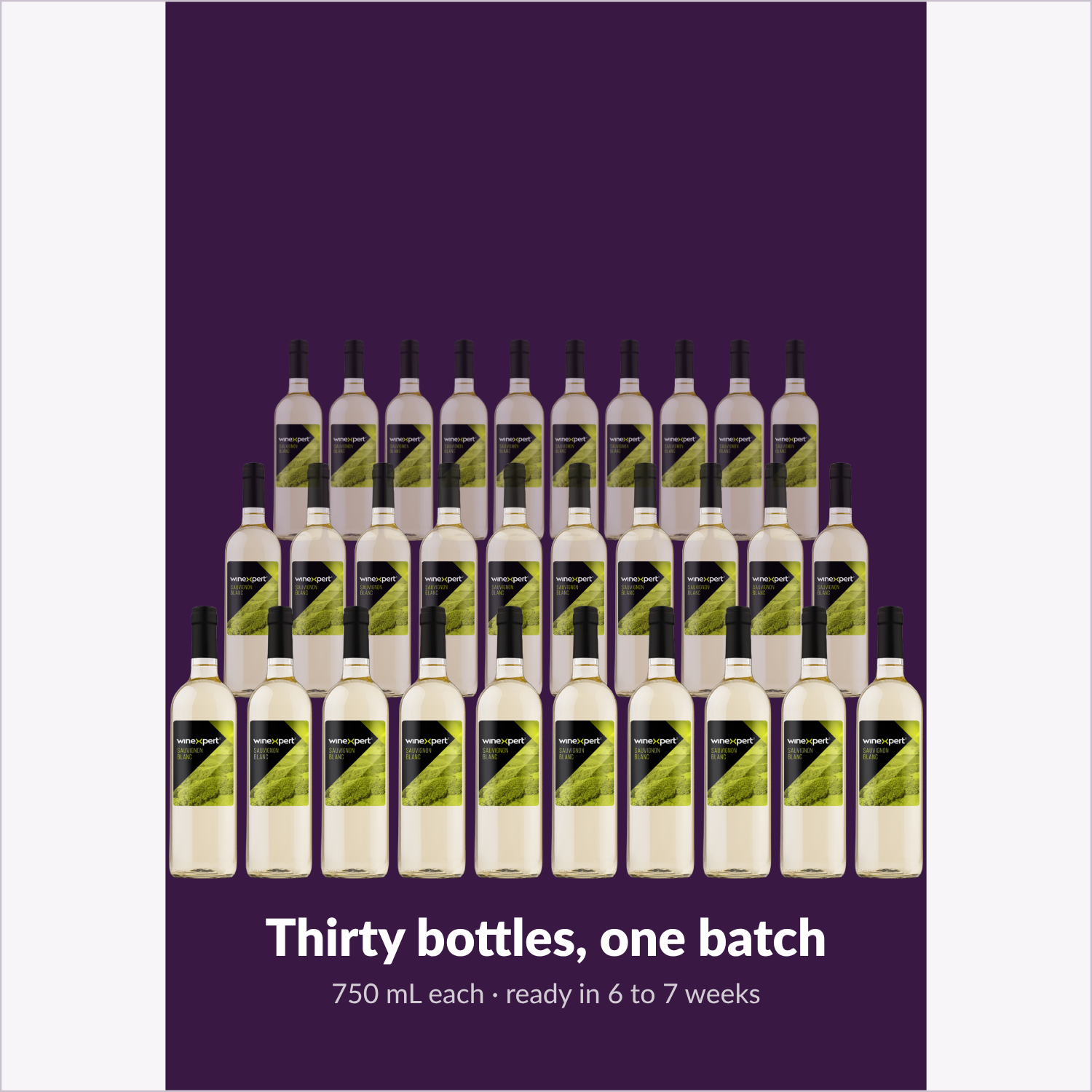 Winexpert Reserve Sauvignon Blanc — thirty bottles, one batch