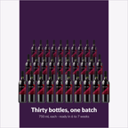 Winexpert Reserve Shiraz — thirty bottles, one batch