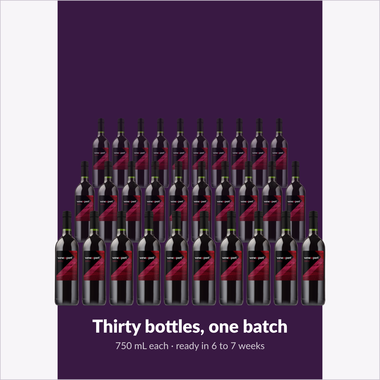 Winexpert Reserve Shiraz — thirty bottles, one batch