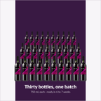 Winexpert Reserve Vieux Château du Roi — thirty bottles, one batch